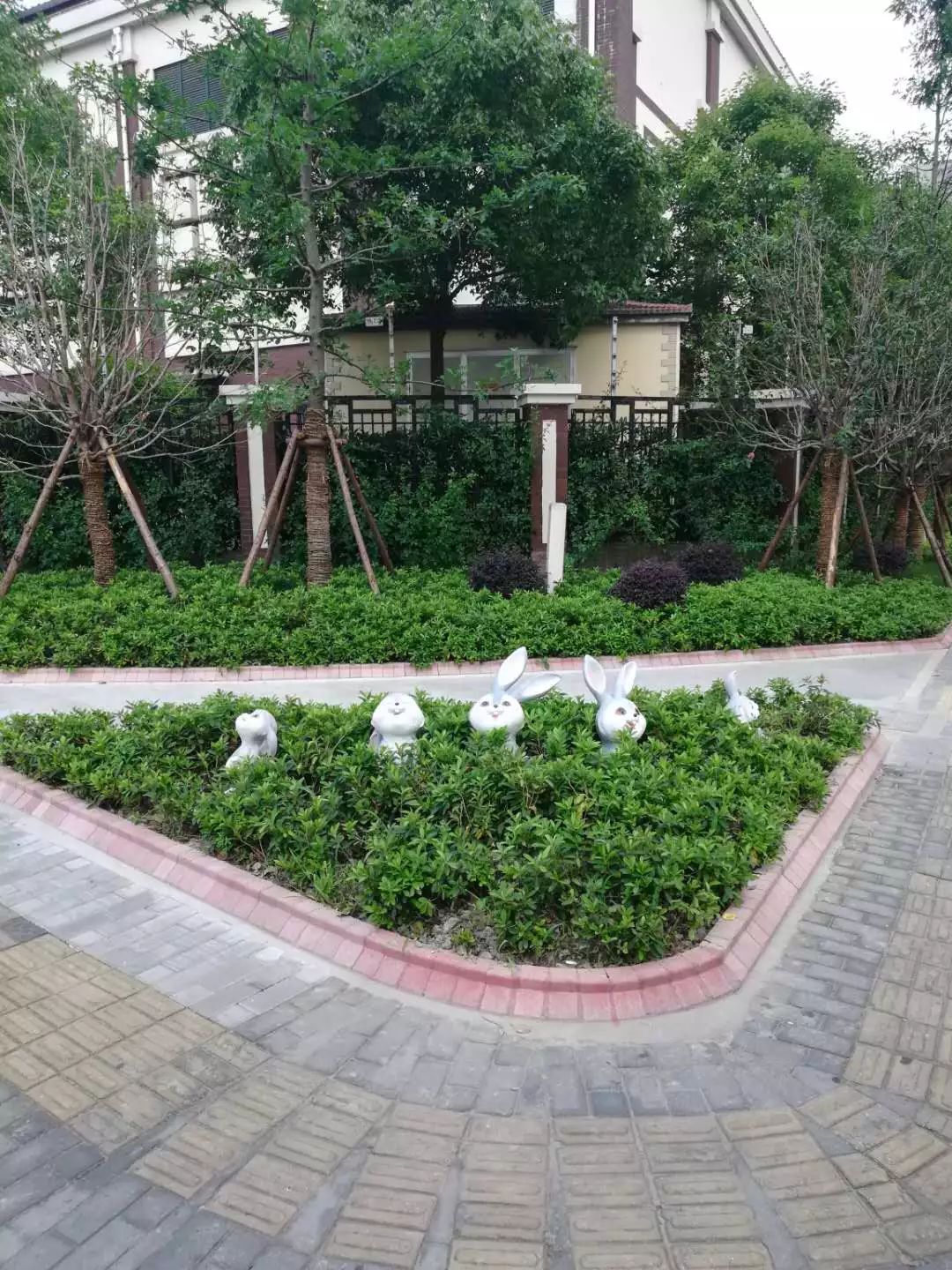 缤纷社区模式,成都缤纷社区微网格