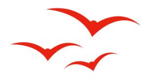 影楼营销方案流程视频教程,影楼短视频营销技巧与方法