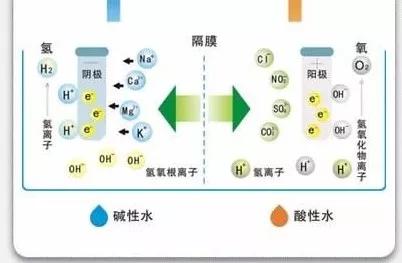 酸性氧化电位水——安全、环保、高效的杀菌用水