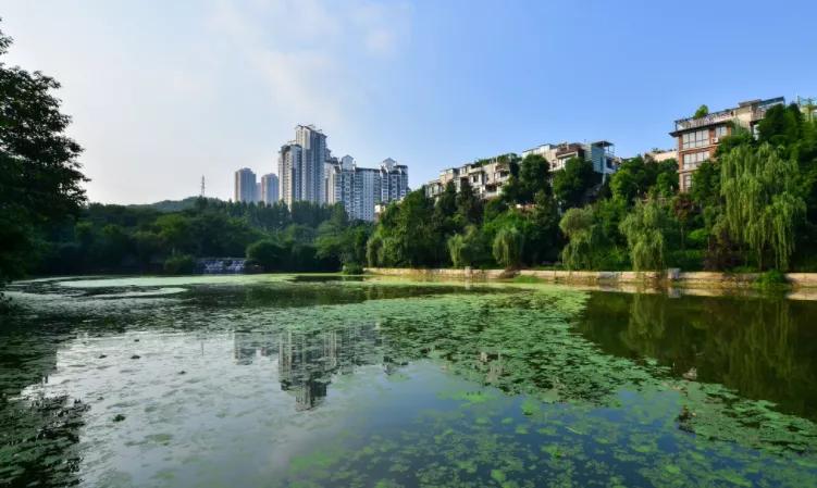 重庆民企金科,重庆金科集团简介