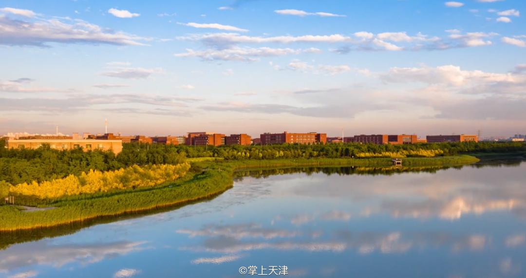 低调的王者完整版,低调的王者奥迪