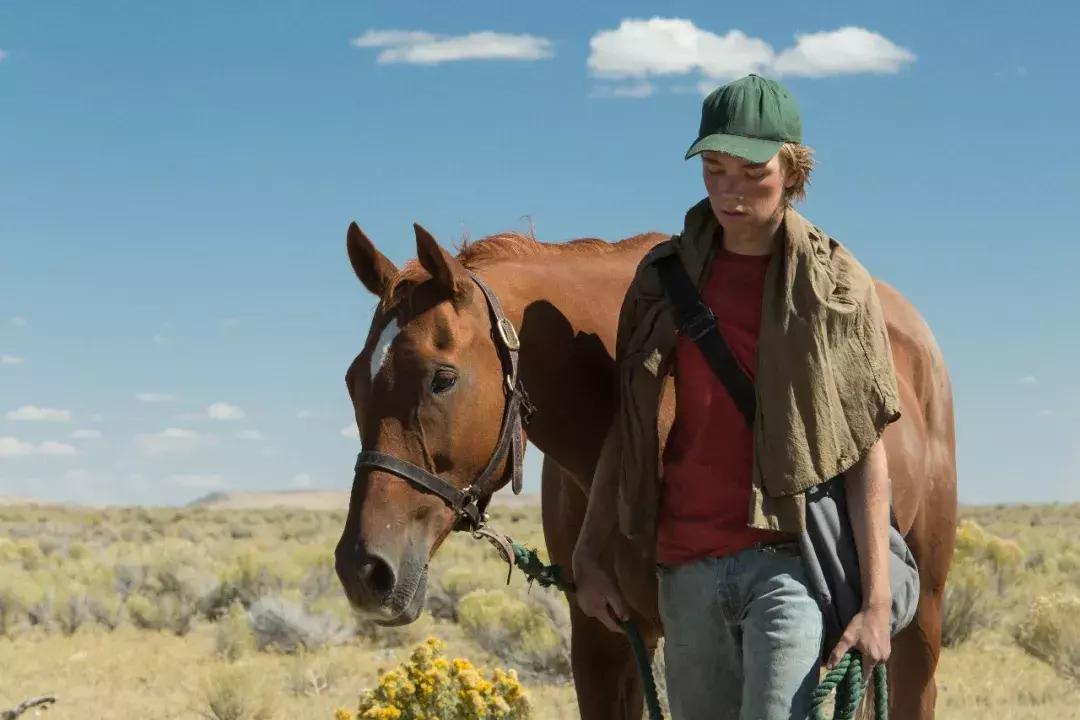 无马不自由！22部“有马”的电影，请盘住