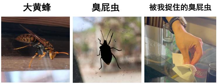 记我的一次旅行600字记叙文,记一次游玩经历600字