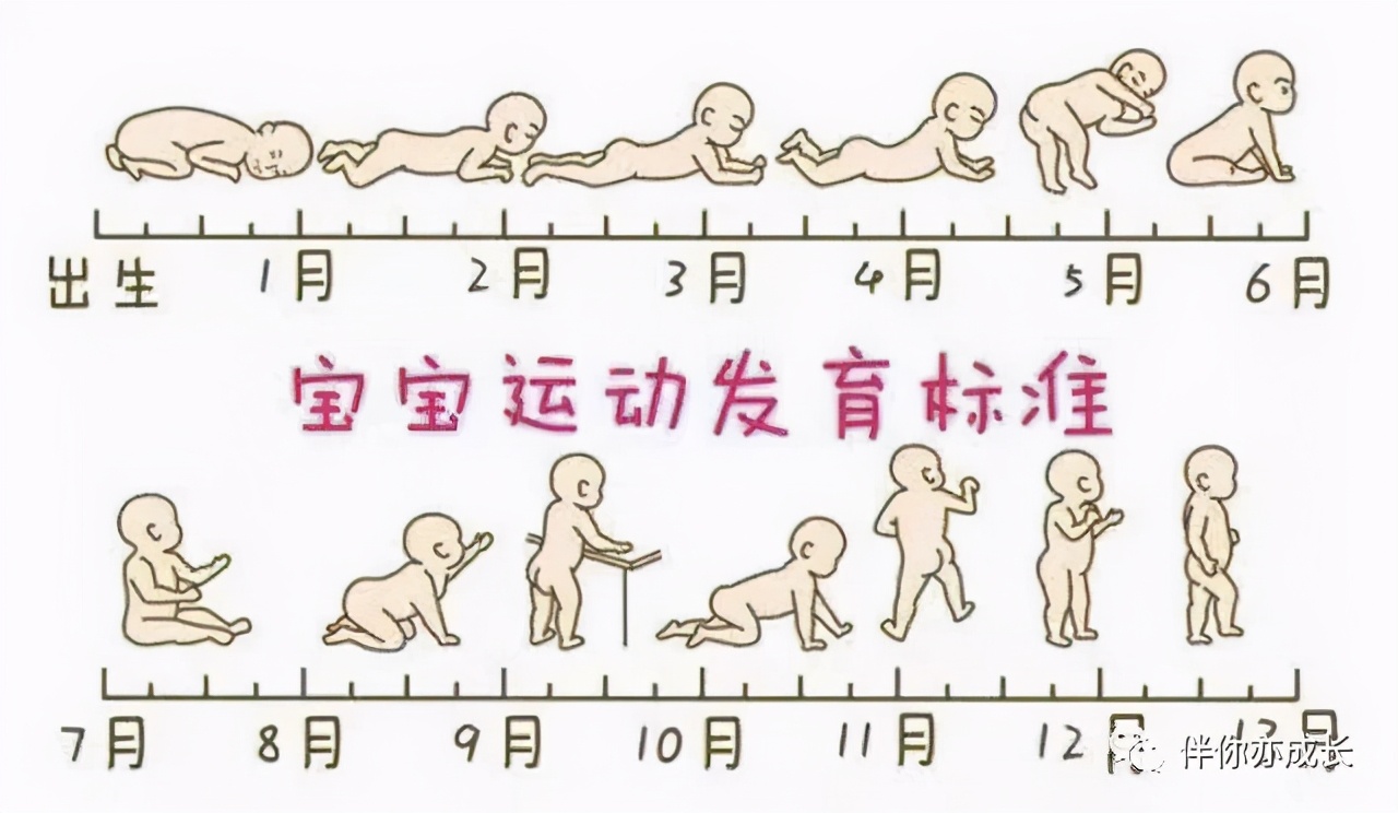 益智玩具0-1岁,3岁以上十大必买玩具