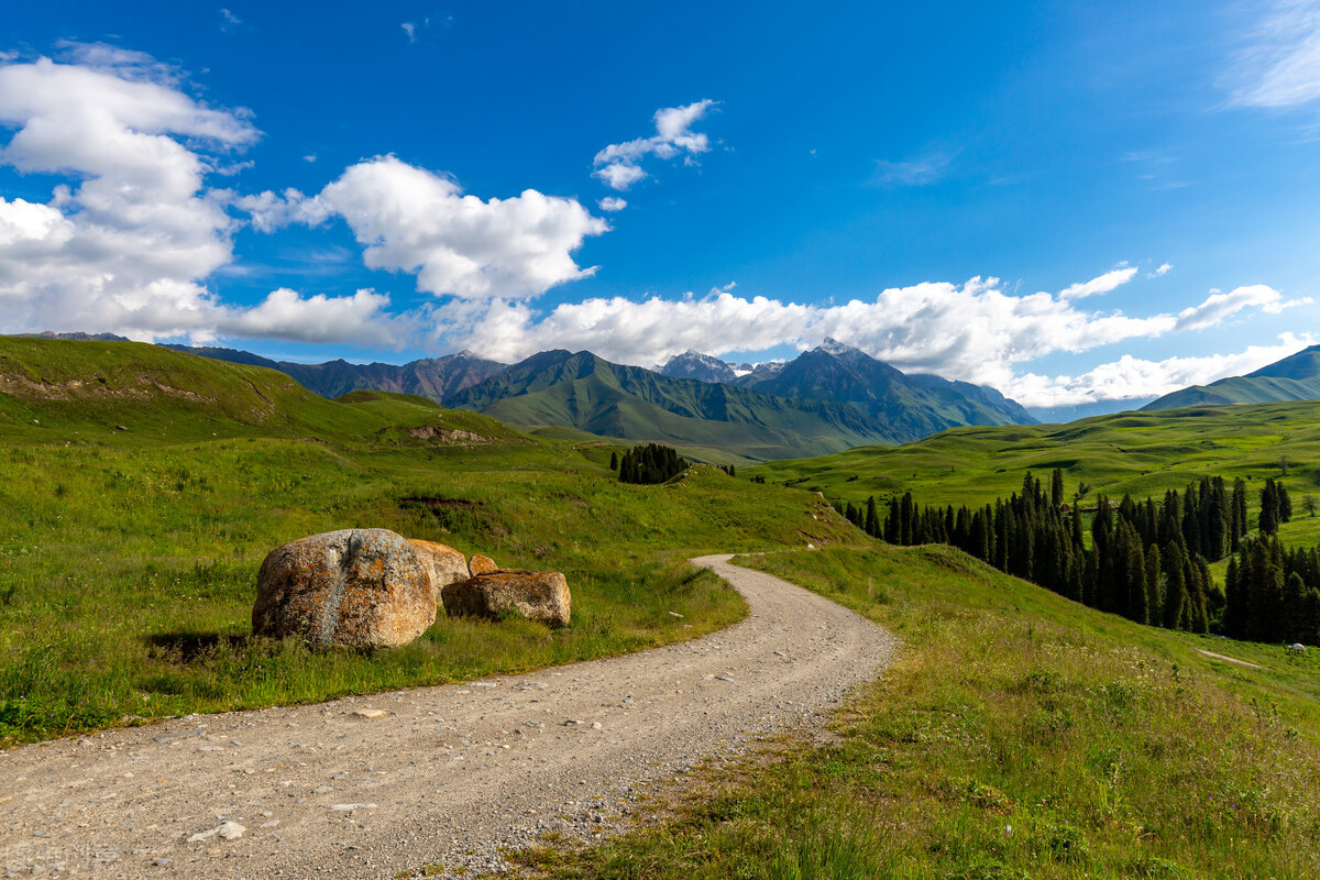王世亮本人,王世亮莱阳