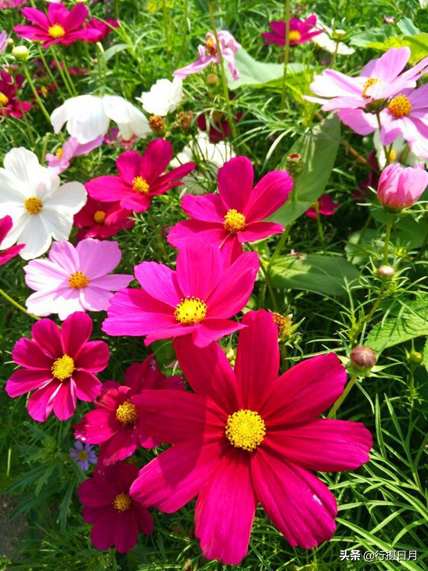 走进老乐山，徜徉如意湖，探访重阳登高之源