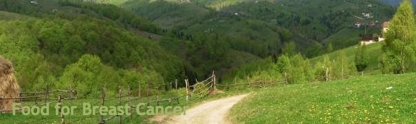 澳洲长寿的秘诀,澳洲人长寿秘诀