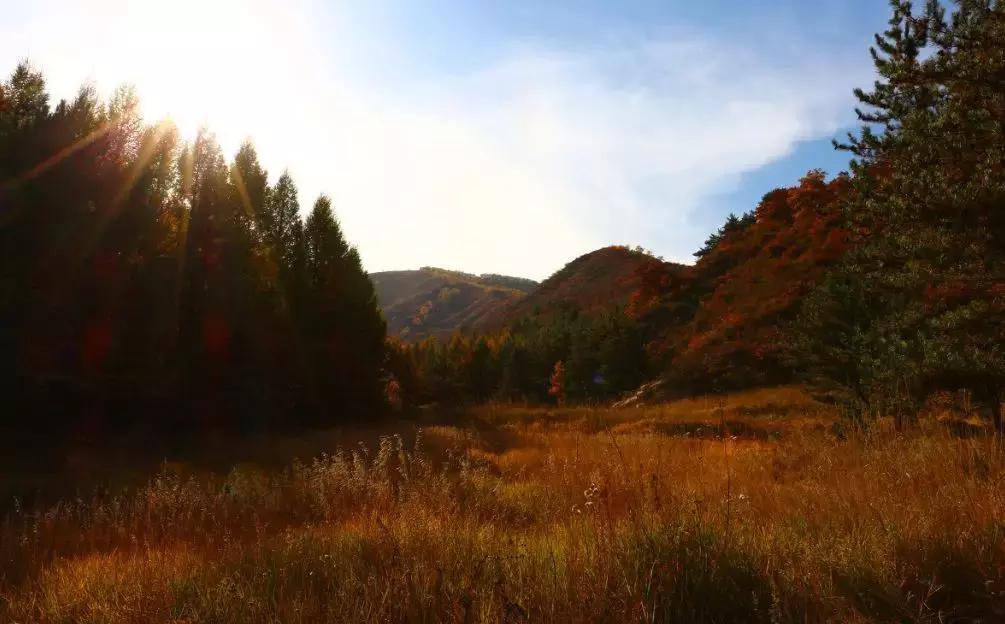 海居铂尔曼酒店全海景,铂尔曼酒店三亚豪华海景房