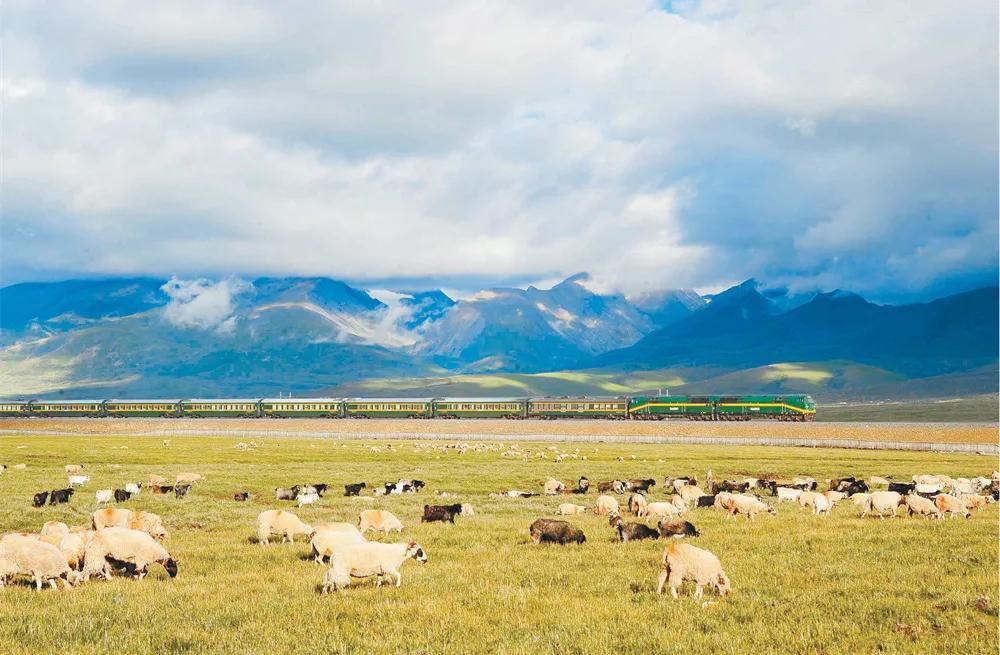 沉浸式体验动车组,体验新动车组