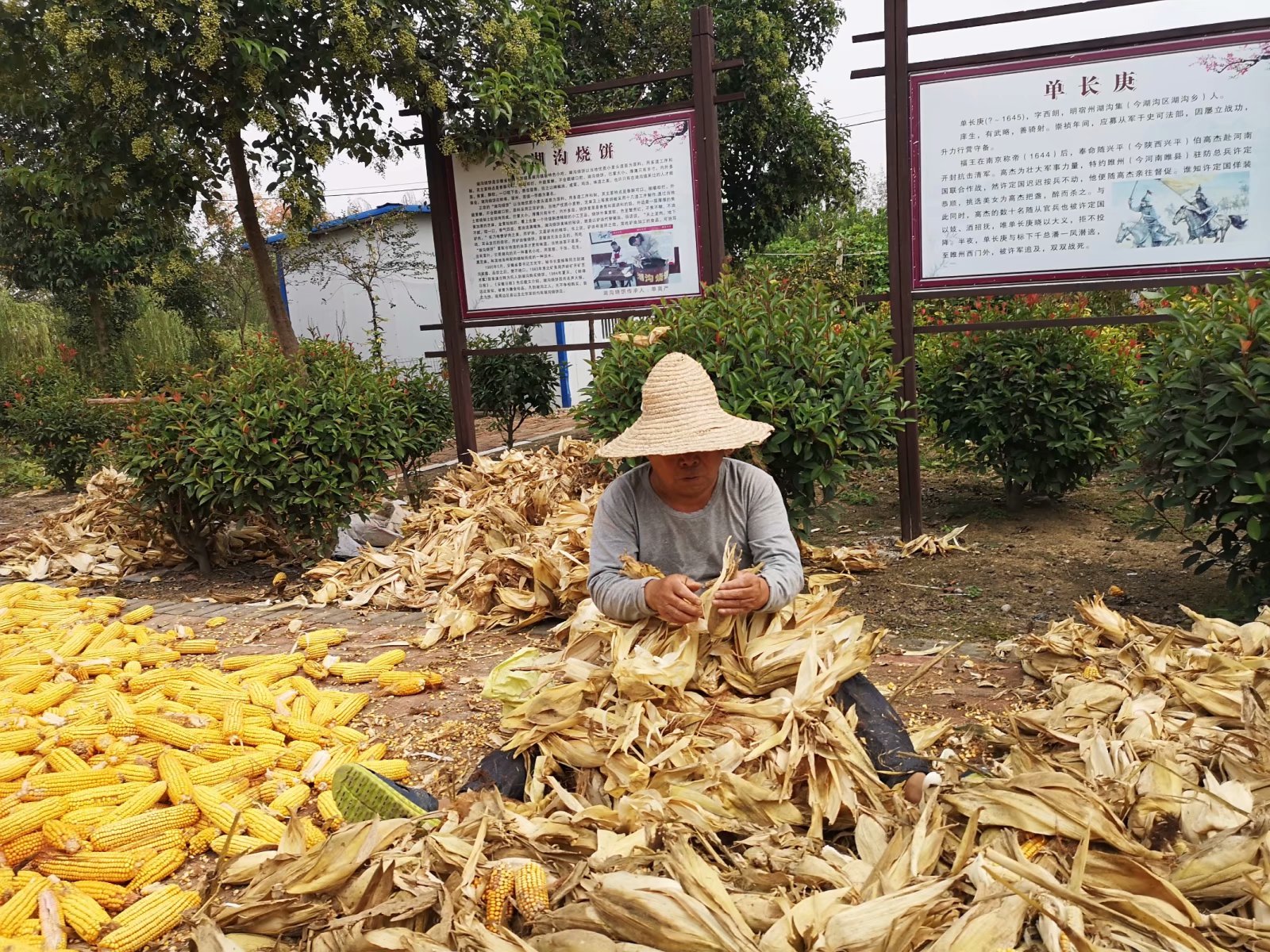 俞伯牙墓为什么在固镇,俞伯牙墓出土