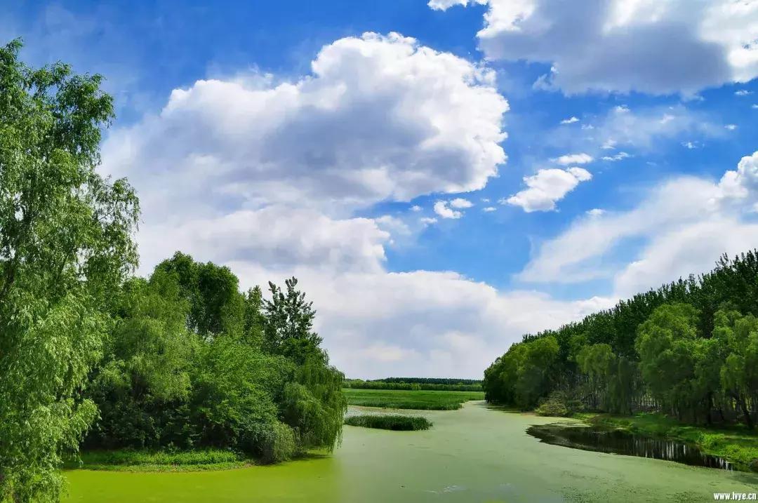 北京小众湿地公园免费,北京周边湿地公园