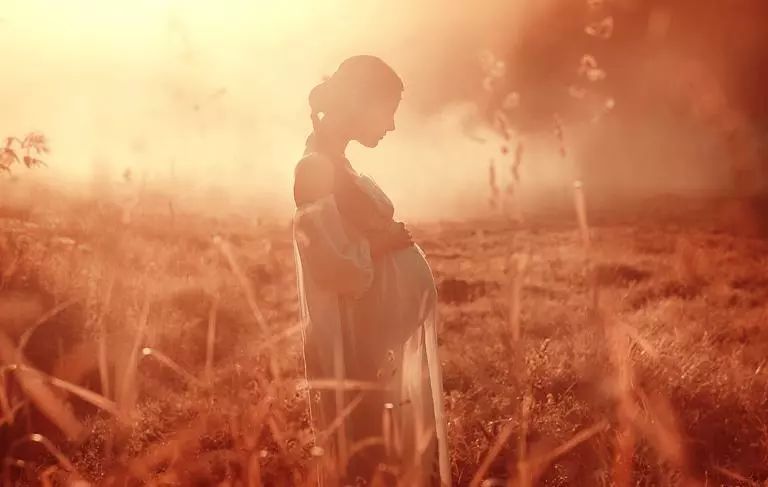 怀孕最爱做的梦是什么梦,怀孕期间做的梦