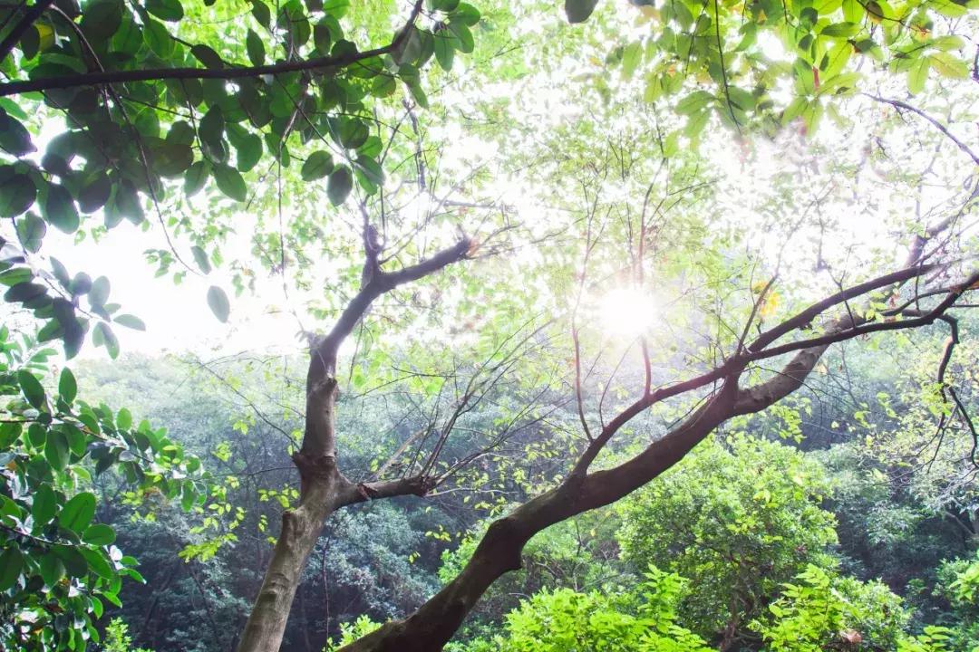 二十七首诗词二十七种人生境界,古诗词中的三种人生境界