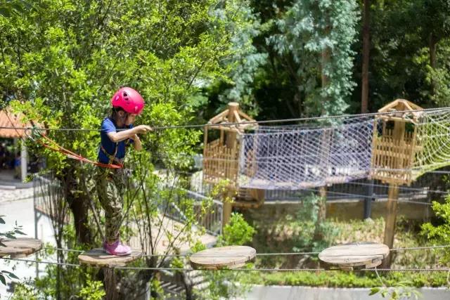 丛林探险乐园门票团购抖音,可拉熊丛林探险营地抖音团购
