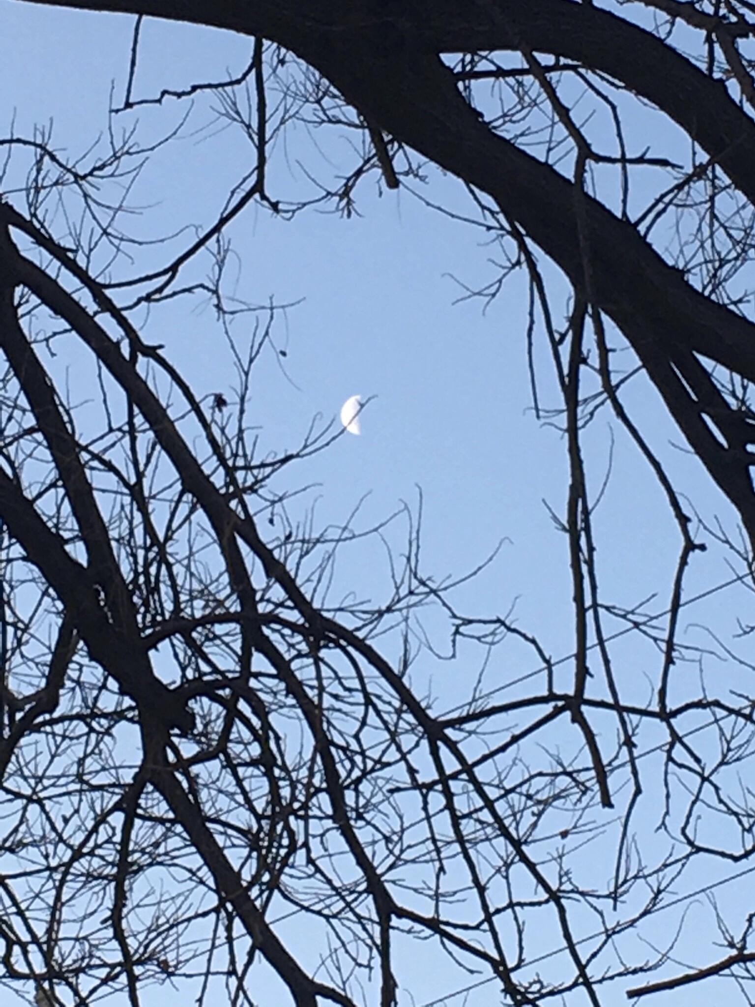 月亮像香蕉吗,月亮像香蕉