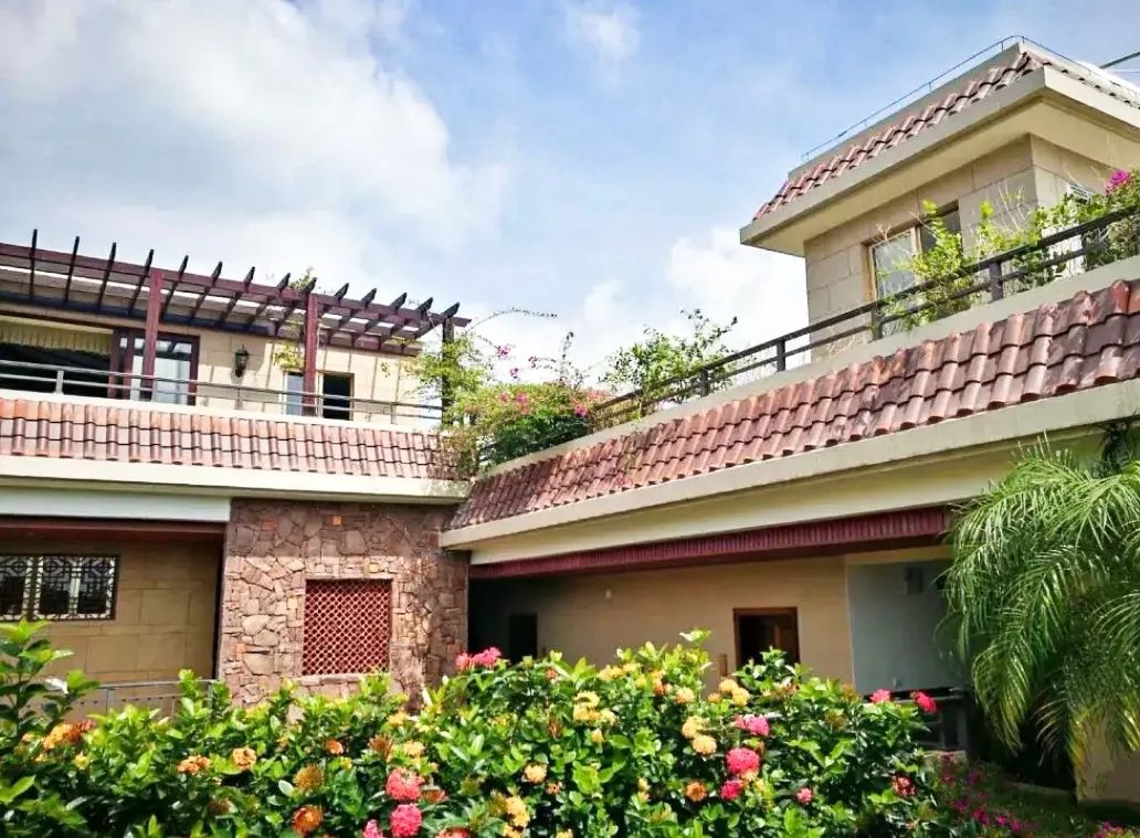 美美美！海南这几家新增的“金宿级”民宿，你想要的诗和远方都有