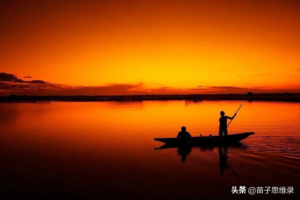 苗子创业,2020做什么网站赚钱最好