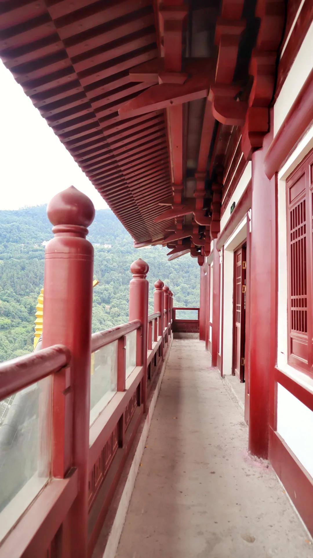 太美了的公园图片,宜宾公园实拍图