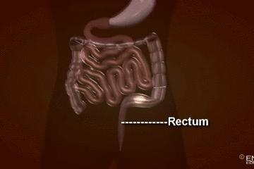 浣犵殑韬綋鍒板簳闀夸粈涔堟牱,浣犵煡閬撲綘鐨勮韩浣撻暱鍟ユ牱瀛愬悧