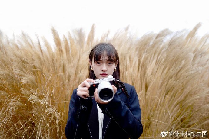 2019年最打动人心的文案,十条扎心热门文案短句建议收藏