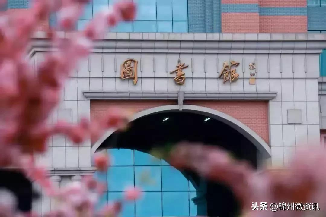 锦州渤海大学！全国最美大学之一！新入学的同学想知道的都在这里