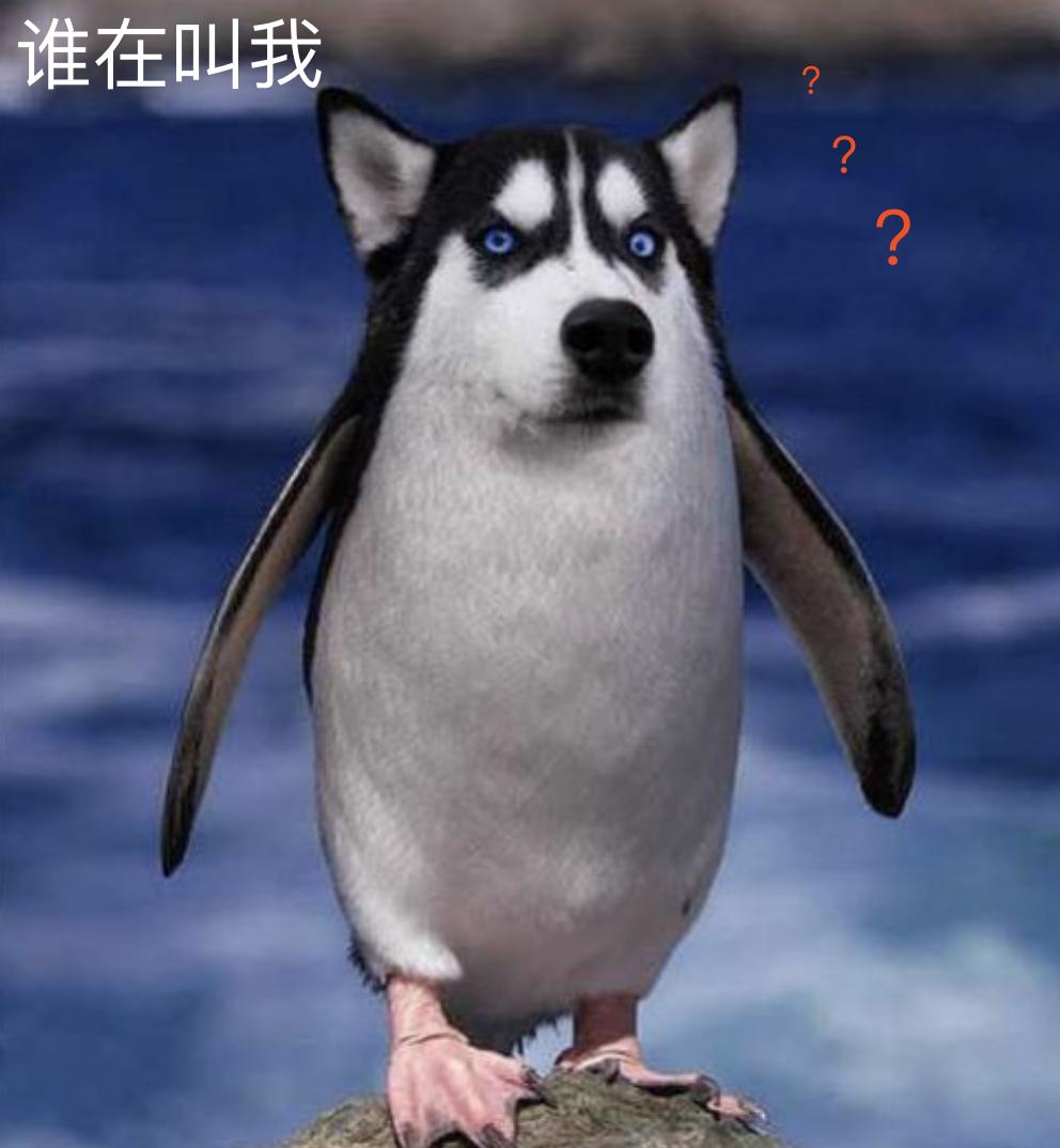 不要乱取名字不然不知道含义,不要随便取的英文名字