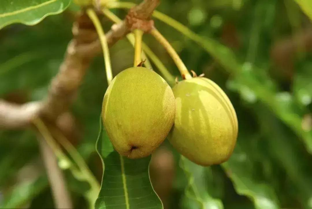 给干枯的身体洒水,给肌肤补充水分让皮肤放松