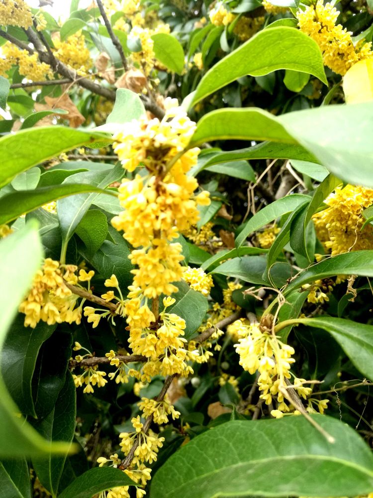 岁月不老我们不散全文,岁月不老我们不散什么意思