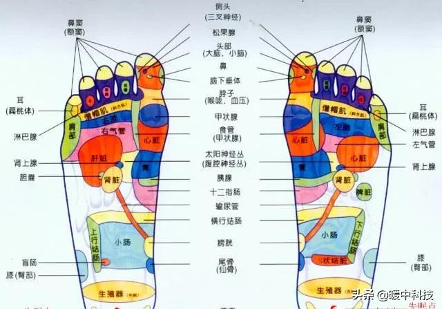 地暖的十大优点都包括哪些呢,地暖的介绍和优缺点