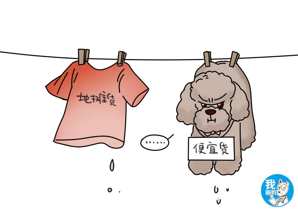 泰迪鼻子上毛掉色是怎么回事,泰迪褪色是什么原因