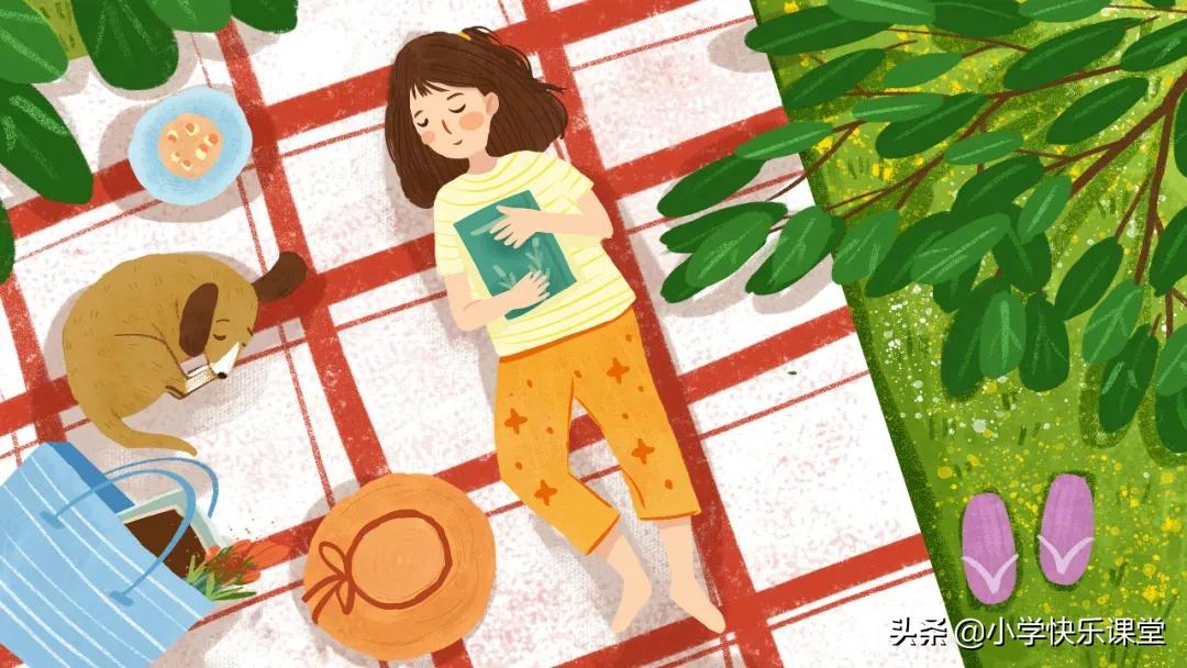 描写观察小动物的作文方法,写作观察的技巧和方法