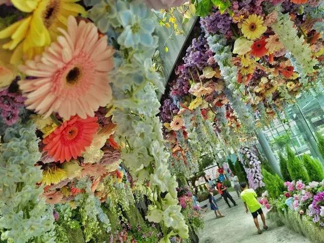 gucci活动上海最新,3月11日gucci活动有直播吗