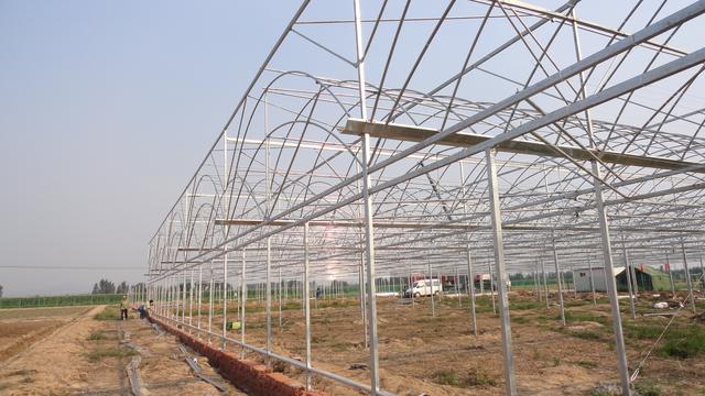 连栋温室玻璃大棚一亩地多少钱,3000平连栋温室大棚价格