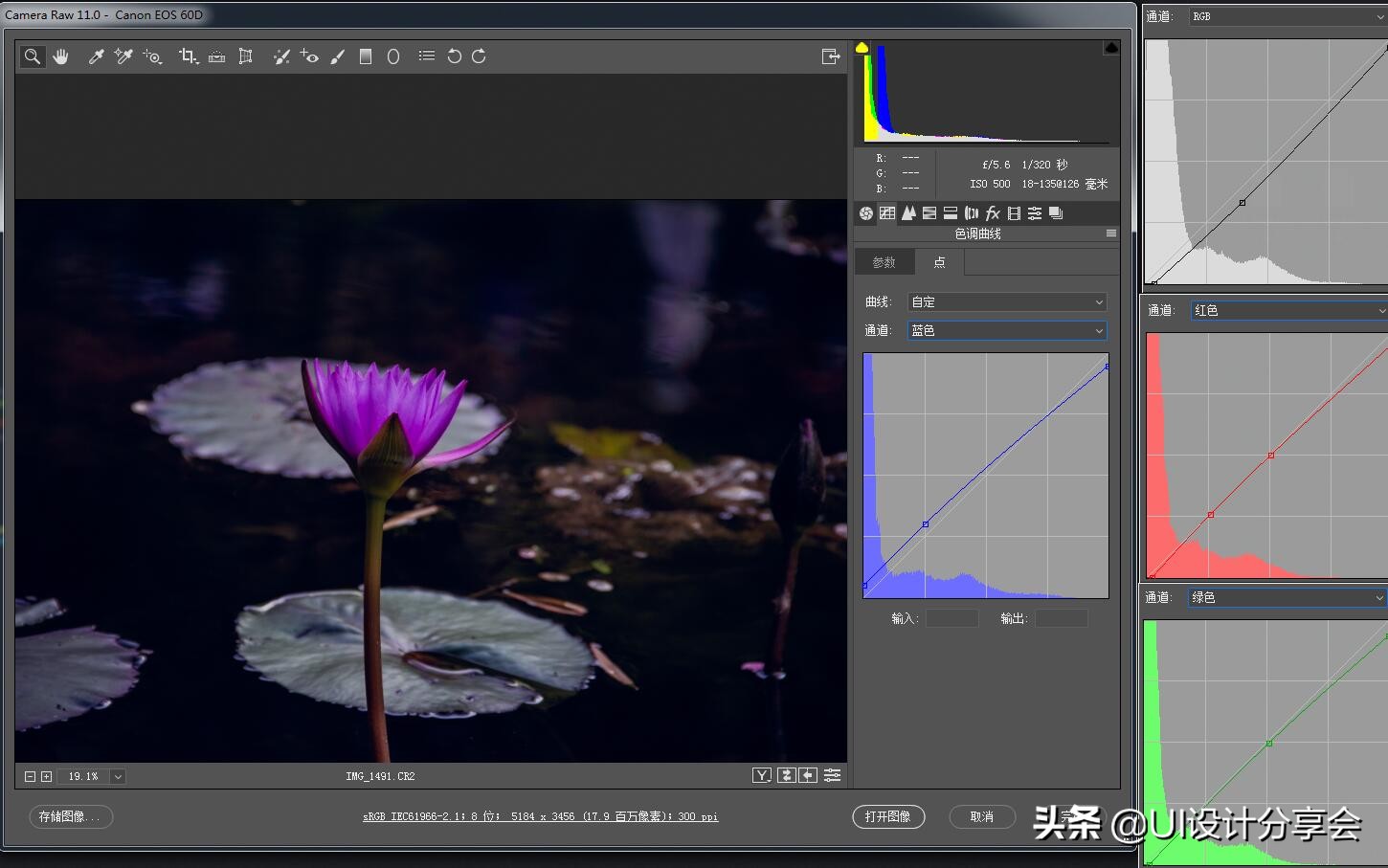 ps画意荷花如何调出洇染效果,ps荷花多重曝光的后期调色教程
