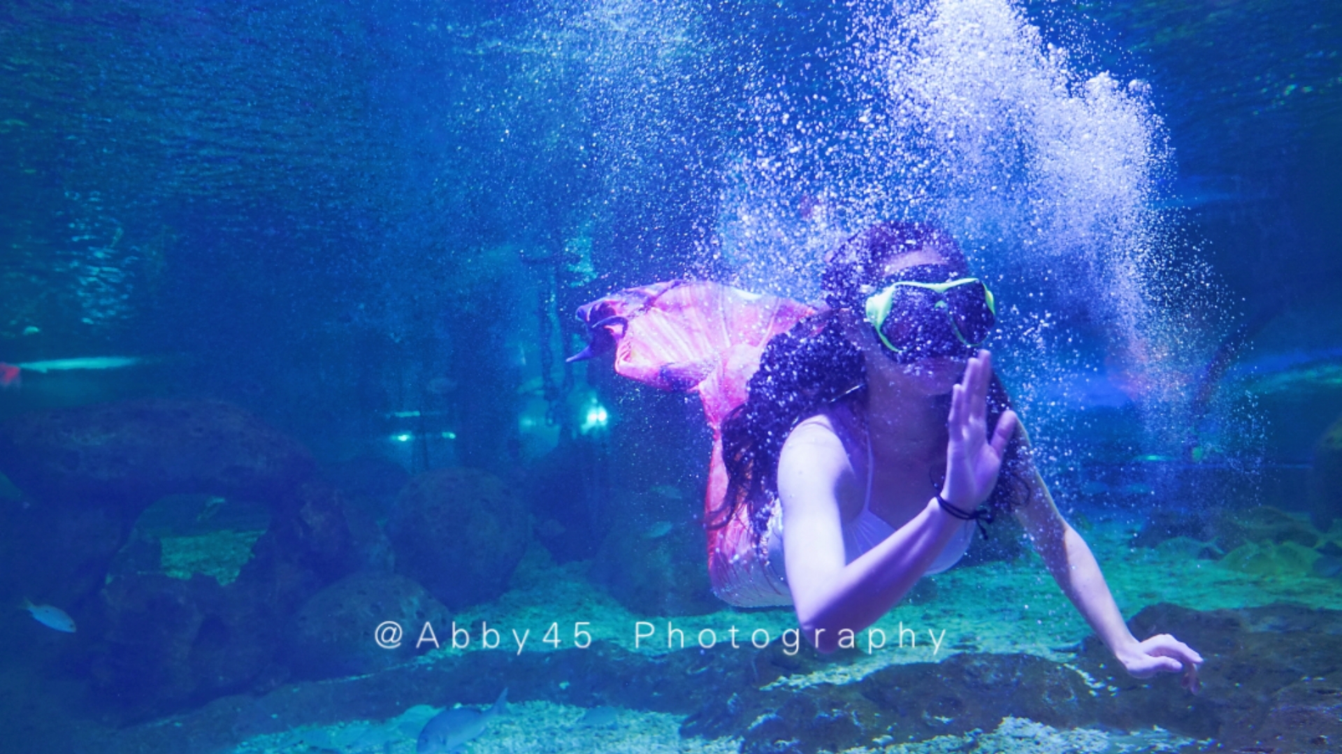 石狮海洋世界和厦门海底世界,泉州石狮海洋世界官方号视频