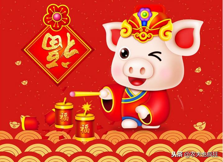 猪年俗语大全100条,2019猪年吉祥谚语