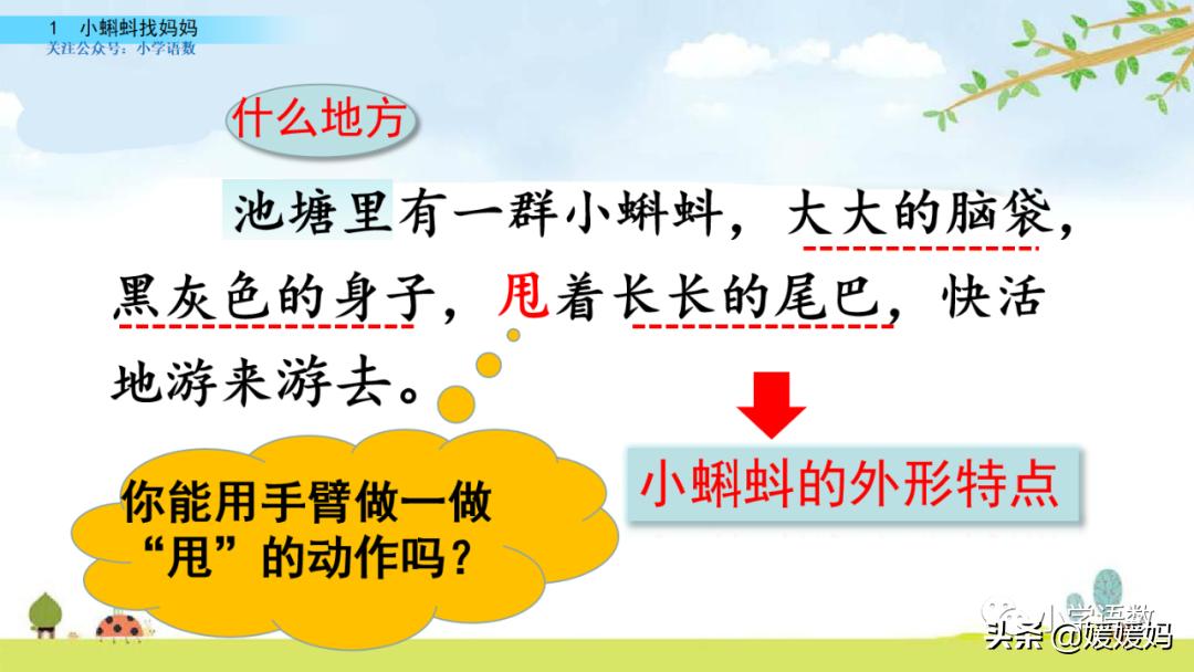 二年级上册小蝌蚪找妈妈听写词语,朗读二年级上册语文小蝌蚪找妈妈