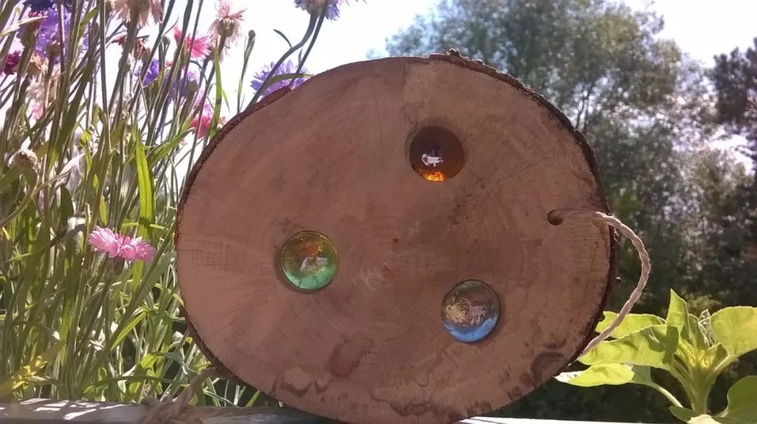 国家对华德福的态度,华德福在中国的发展历程