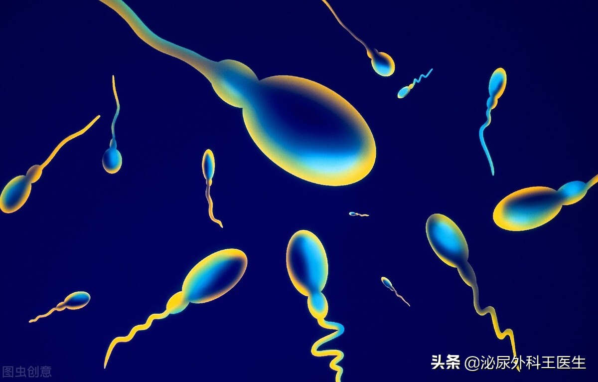 如何科学提升精子质量？