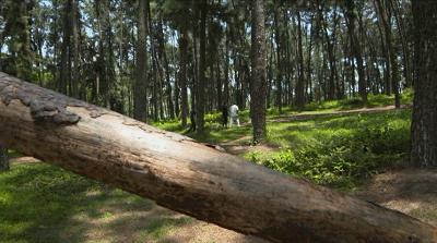恕我直言综艺完整版在线,恕我直言综艺完整版