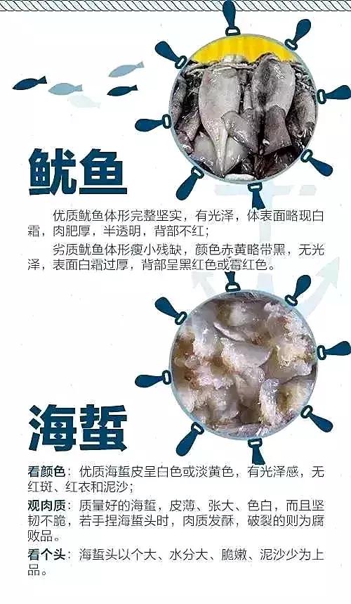 有一种炫富叫青岛开海,有一种炫富叫青岛开海了