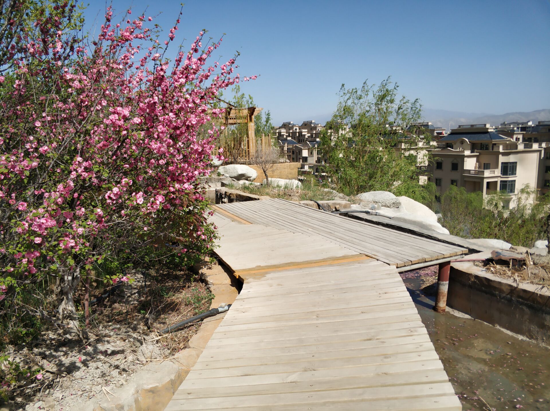 乌鲁木齐居然有这么漂亮的地方,乌鲁木齐周边森林公园在哪里