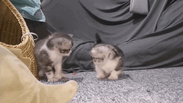 你不知道的国家冷知识（西班牙篇）