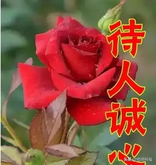 女人节祝福语送给你,最美丽的女人节祝福