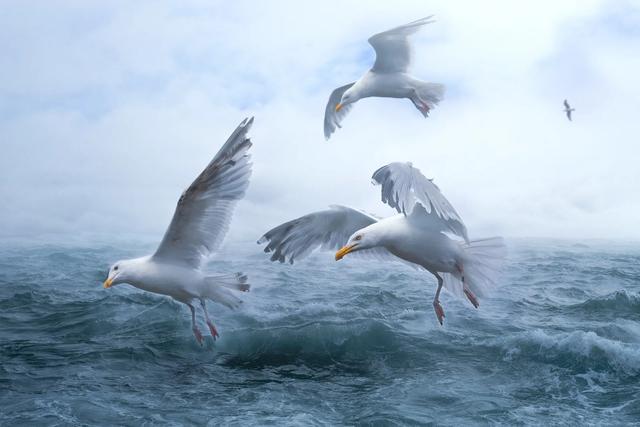 每一种血型的人都有各种不同,不同血型的人的智商有差别吗