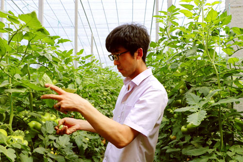 硕士返乡创业养鸡到底赚了多少钱,硕士回村做养殖一年净赚10万元