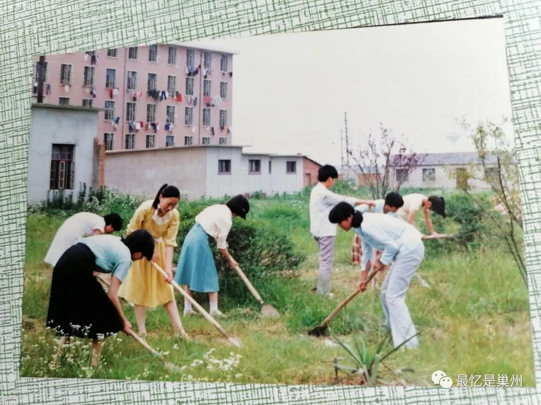 顺应时代服务“三农”：追记省巢湖农业学校（省土地管理学校）