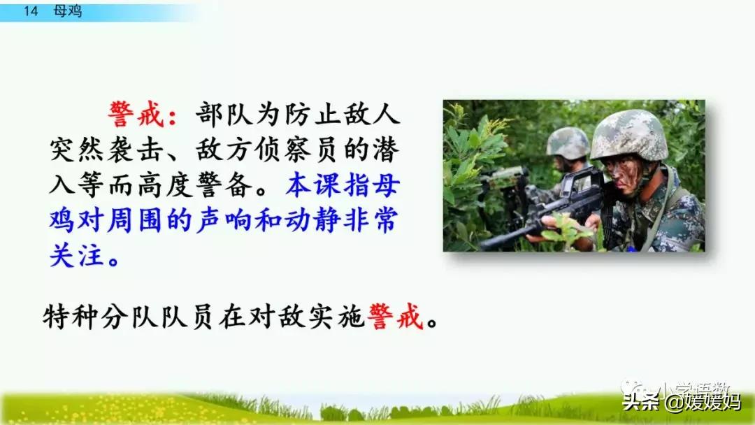 四年级下册第13课小练笔仿写母鸡,四年级下册14课母鸡的预习完整版