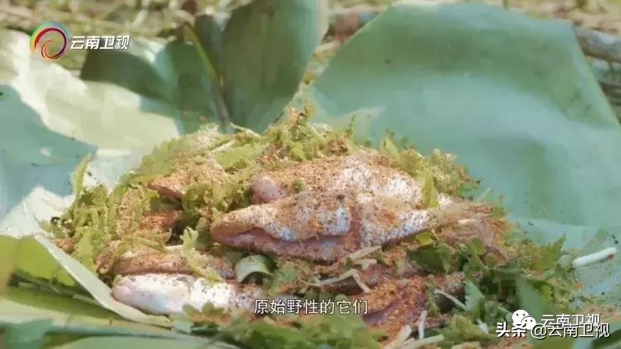 云南味道第二季稻米之味,味道云南高清完整版免费