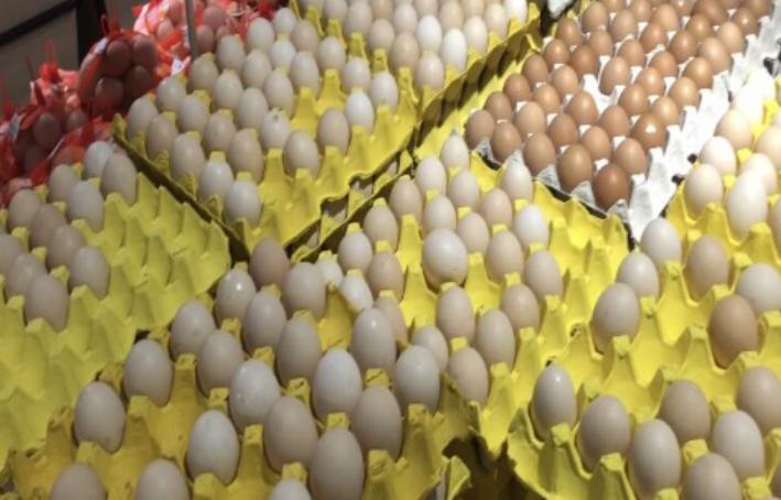 红壳鸡蛋和白壳鸡有啥区别,鸡蛋是绿壳红壳还是白壳好